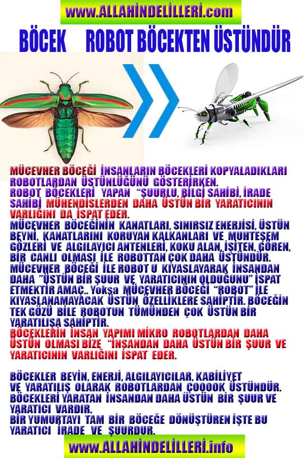 allahin varliginin delilleri, allahin delilleri, allah-delilleri, allahin varlıgının delilleri nelerdir?